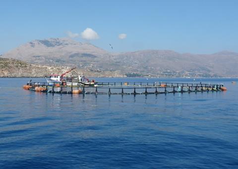 Mediterranean bluefin campaign kicks off