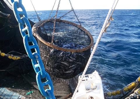 The Ecuadorian government has adopted the National Tuna Action Plan Credit: TUNACONSThe Ecuadorian government has adopted the National Tuna Action Plan Credit: TUNACONS