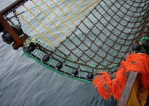 Trials of revolutionary fishing gear have been successful in reducing ground impact and reducing fish discards