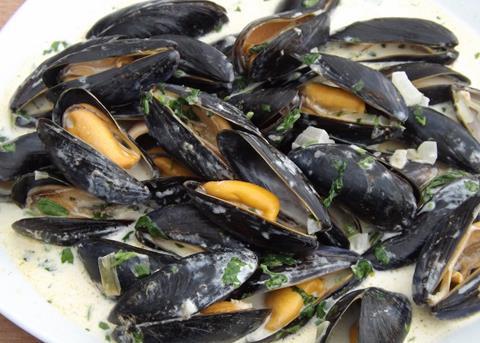 Where next for British shellfish?