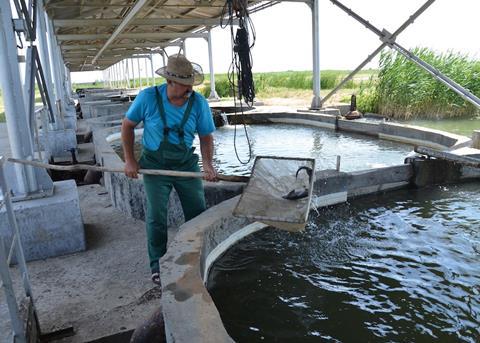 Kazakhstan sets ambitious aquaculture goals