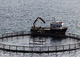 The project aims to map and analyse decision-making processes connected to the planning and allocation of areas for aquaculture. Photo: Frank Gregersen, © Nofima