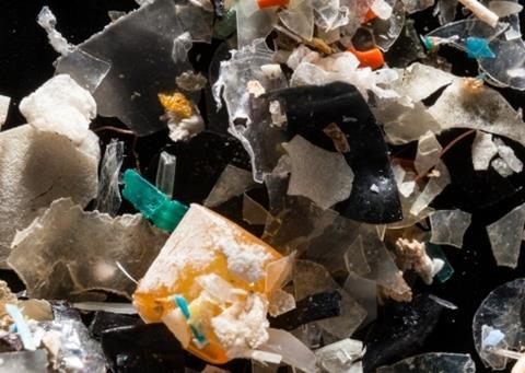 Microplastics sample. Credit: Will Parson, courtesy of the Chesapeake Bay Program