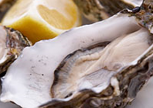The FSA is inviting tenders for a research study to improve norovirus removal from live oysters