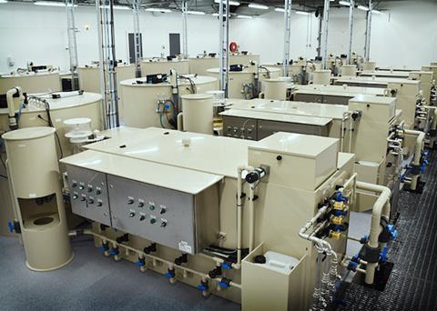 Recirculation hall at Skretting’s Lerang Research Station