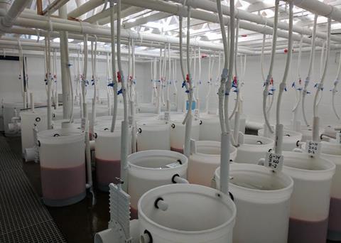Incubation barrels