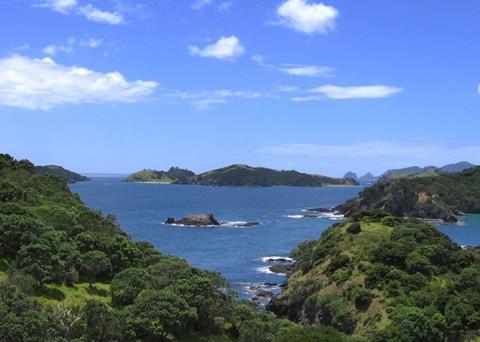 The limit for crayfish at the Bay of Plenty has been reduced. Photo: Fuadounet