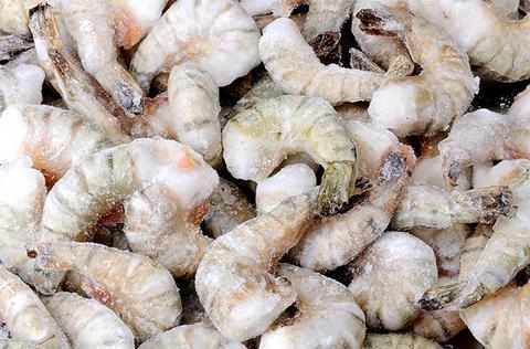 India frozen shrimp