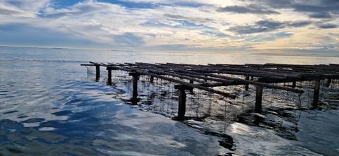 GFCM restorative aquaculture