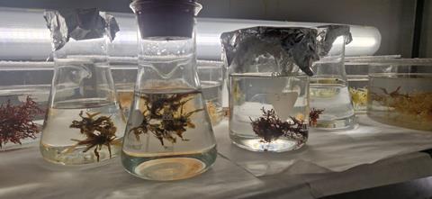 GFCM restorative aquaculture