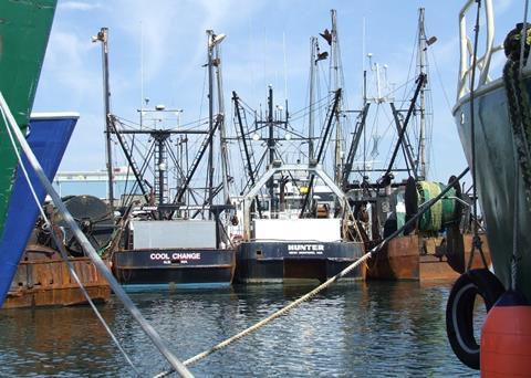 East Coast software schemes are claimed to obtain better prices for locally caught fish