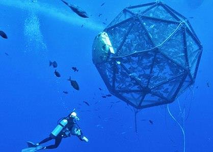 The mobile fish pen has been recognised by TIME Magazine as one of the Top 25 Inventions of 2012