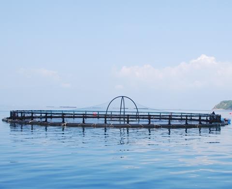 The CFS has filed a lawsuit challenging NOAA’s new regulations which permit industrial aquaculture offshore in US federal waters