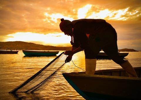 Organic trout from the Andean highlands