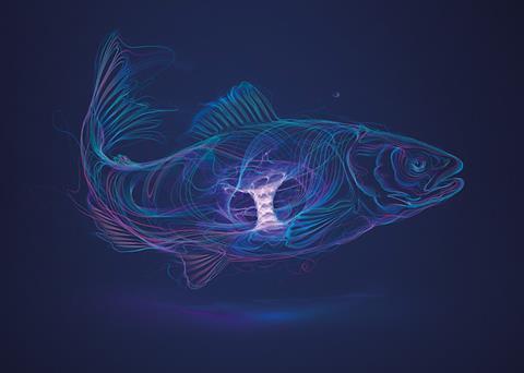 Phytase benefit trials