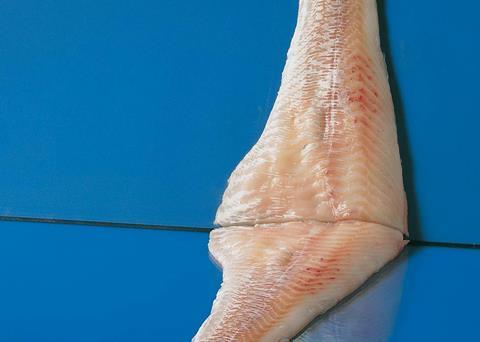 Baader and Norway Seafoods are looking to create a better and more efficient processing line for cod and other whitefish species