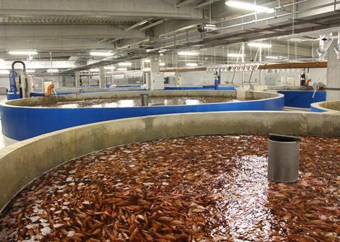 AquaMaof has developed technology for Industrial Recirculation Aquaculture Systems (RAS)
