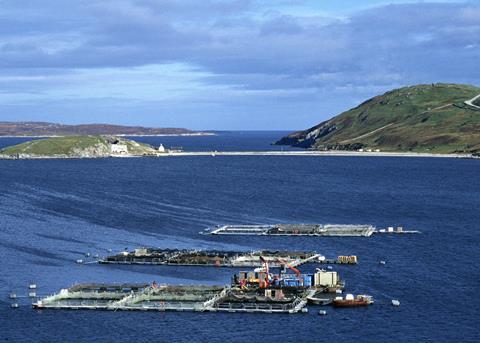Salmones Camanchacas is now two star BAP certified Photo: Salmon Farm Protest Group/Marine Photobank