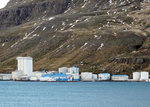 Blue whiting – top quality raw material