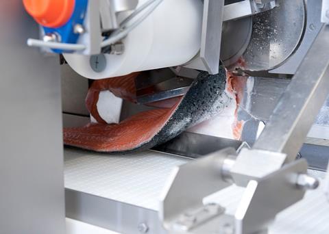 The BAADER 581 filleting machine