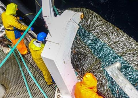 EthiCatch: A research project into fish welfare, ethics, quality and added value in coastal fisheries Photo: Emil Bremnes/Nofima