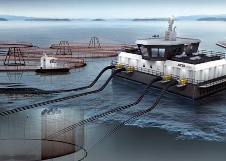 AKVA wins National Prawn Co. contract, News