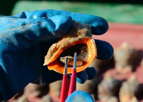 Invaders in our waters: at what cost?