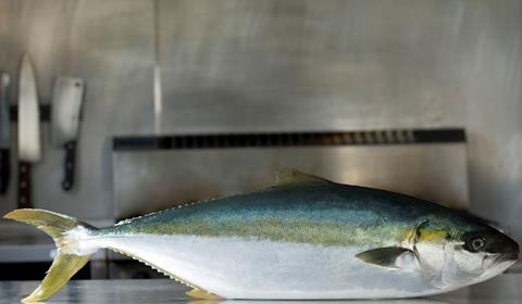 Clean Seas kingfish