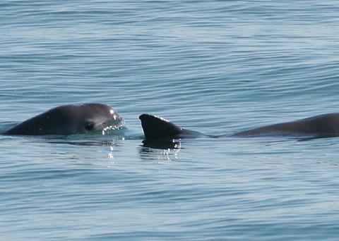 The MxSC is committed to sustainable fishing methods Photo: NOAA Fisheries