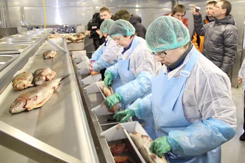 Russia fish processing