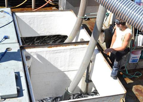 The last of the fish from Mainstream Canada’s Millar Channel farm have been removed