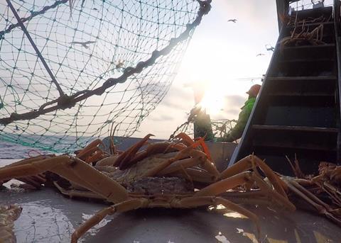 Russian Crab Company sales are up 35% in a year