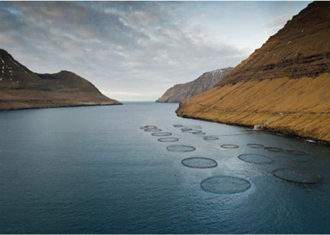 The bill will restrict the level of foreign ownership of Faroese fish-farming companies to a maximum of 30%