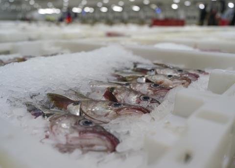 Catch recommendations from ICES for North Sea cod do not reflect the position in fisheries, says SFF Photo: SFF