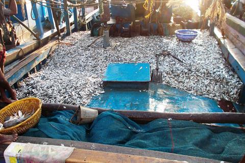 Fish stocks are stable in some places, increasing in others and in some areas they are declining