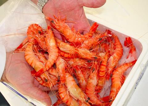 More should be done by retailers to combat human rights abuses in the seafood supply chain, says SeaChoice Photo: SeaChoice