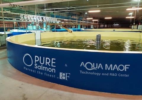 Pure Salmon is rolling out RAS facilities across the world Photo: Pure Salmon
