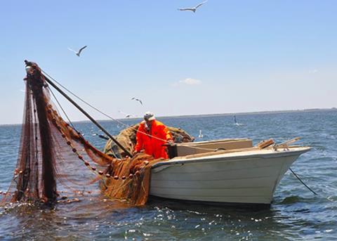 Fishing in South Australia