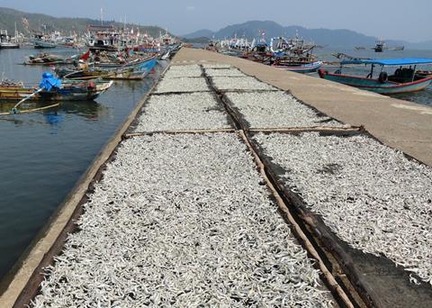 The countries will work together on projects in Sumatra and other locations. Photo: Fabio Achilli/Flickr