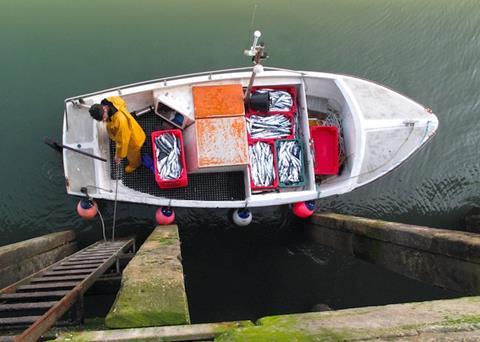 Seafood Cornwall's #FishToYourDoor initiative