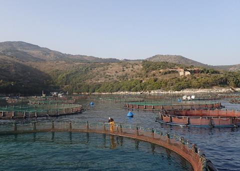 Offshore Farming - No Longer a Novelty