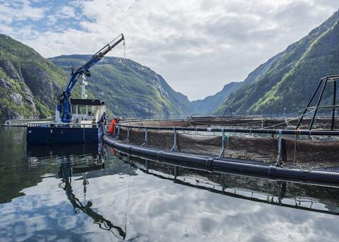 CleanTreat cleanses the treatment water after delousing to ensure it's clean before it is released back into the fjords
