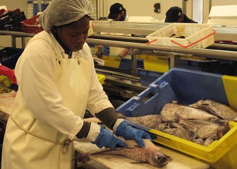AIPCE-CEP is urging for greater action to support the fish processing and trading sector Photo: AIPCE-CEP