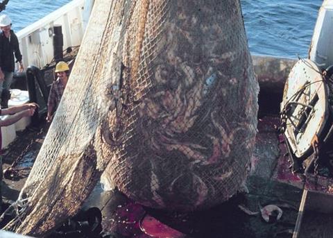 Improved selectivity brings major benefits for fish stocks, birds and mammals. Credit: NOAA