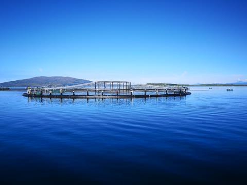 Scottish salmon farm