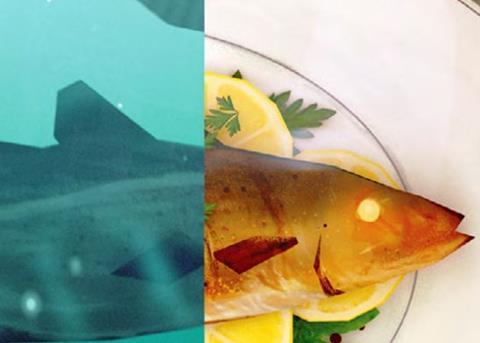 More than half of consumers doubt that their seafood is correctly labelled