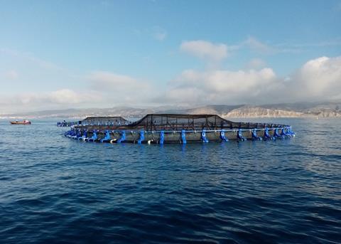 Avramar is opening a new farm in El Campello Photo: Avramar