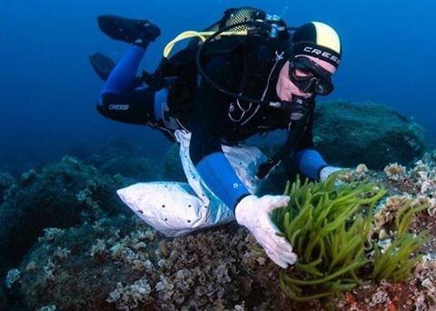 seaExpert produces algae biomass for a range of industries Photo: Friend of the Sea