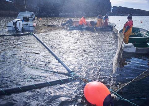 From Fish Waste to Value Added Ingredients