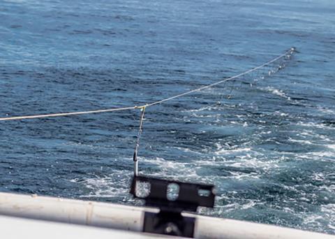 Longline gear being deployed Photo: NOAA Fisheries